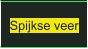 Spijkse veer