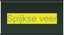 Spijkse veer