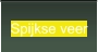 Spijkse veer